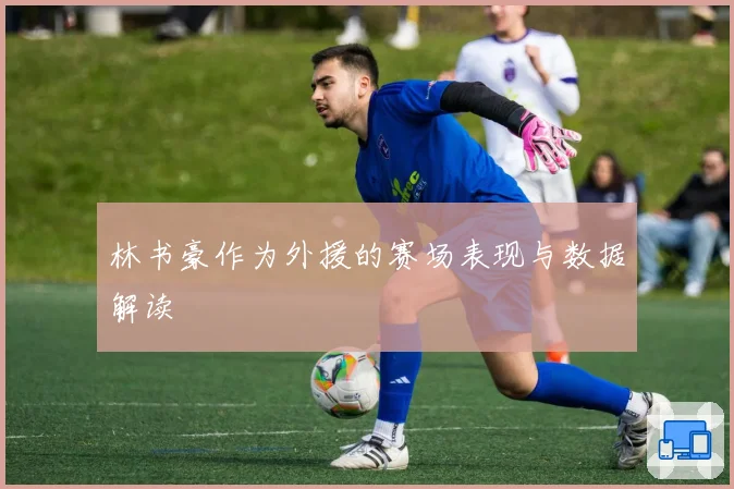 林书豪作为外援的赛场表现与数据解读