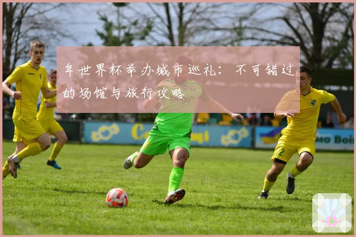年世界杯举办城市巡礼：不可错过的场馆与旅行攻略